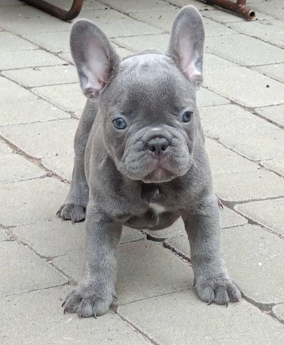 Малятко дуже ніжний