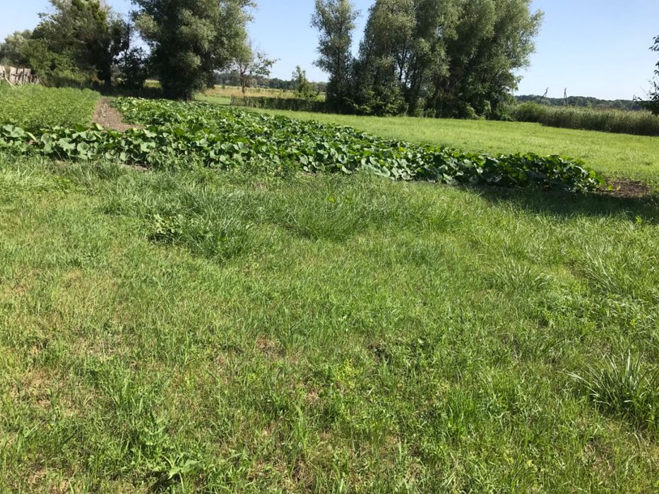 Будинок без внутрішніх робіт