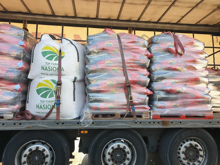 Jęczmień browarny RGT PLANET LEXY materiał siewny