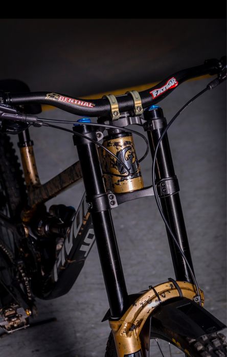 PIVOT PHOENIX — M —Personalização única