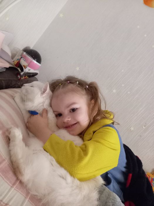 Пропал Кіт дуже сумує дитина