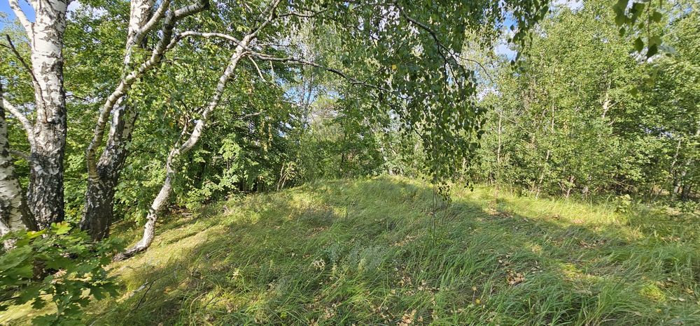 Інвестиція!!!земельна ділянка під житлову забудову 2,5га ,Рославичі