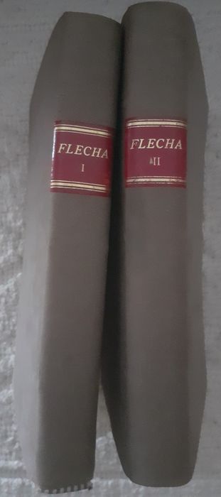 Flecha 2000 - série 1 completa