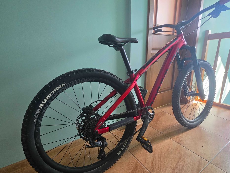 Rower dartmoor hornet 26 2021 red devil