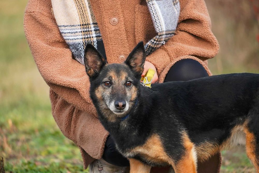 Edwardo szuka przyjaciela