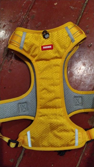 Шлейка на собаку размер хл