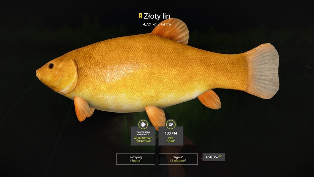 Złoty lin,orfa,karp,koi,amur