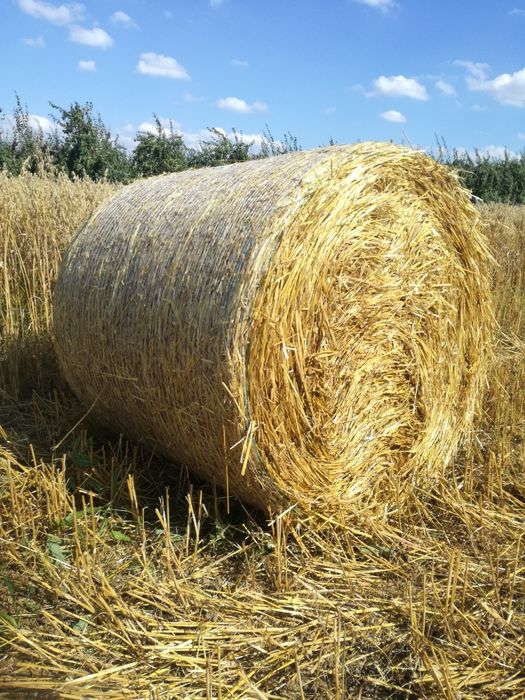 Słoma balot siatka 120x120