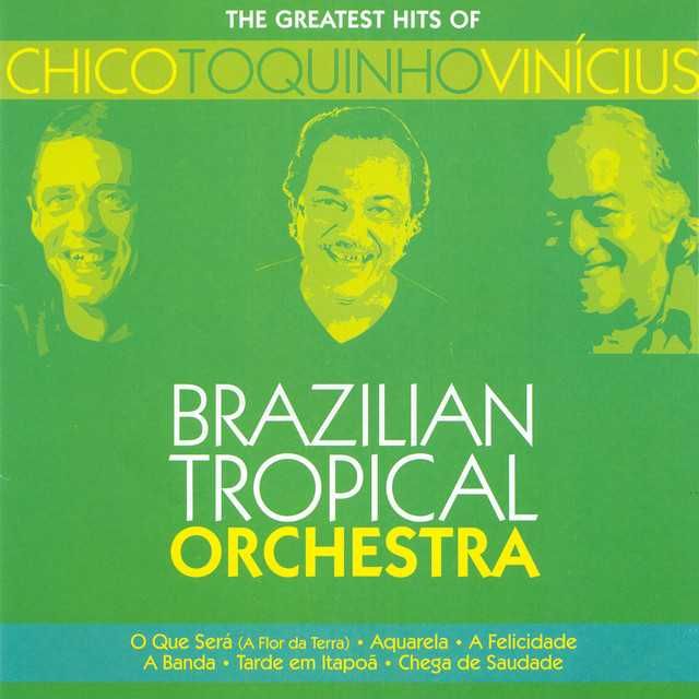 Brazilian Tropical Orchestra: Greatest Hits Chico Toquinho Vinicius CD