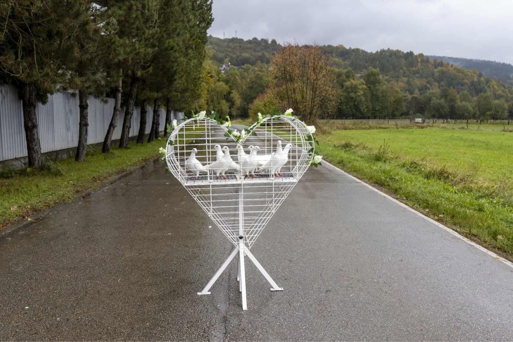 Białe gołebie na ślub