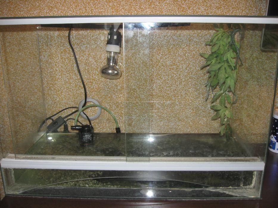 Sprzedam terrarium.