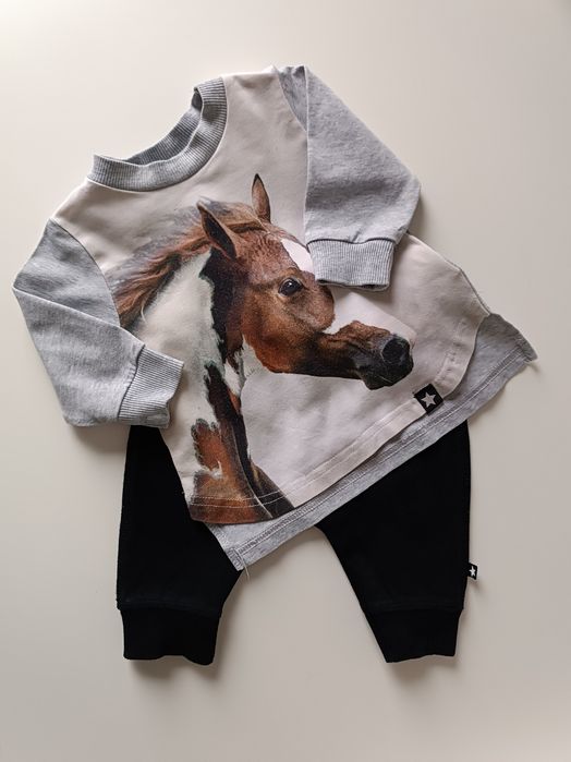 Bluza+ Spodnie Molo
