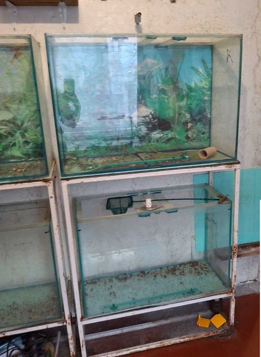 Акваріуми безкоштовно