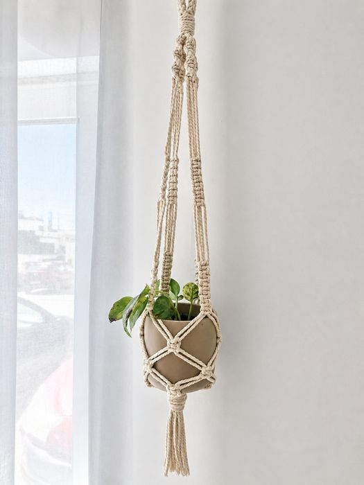 Suporte de macramé com vaso e planta