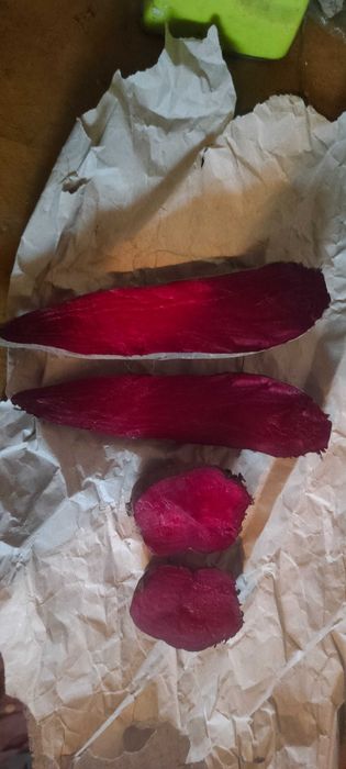 Swojskie buraki czerwone