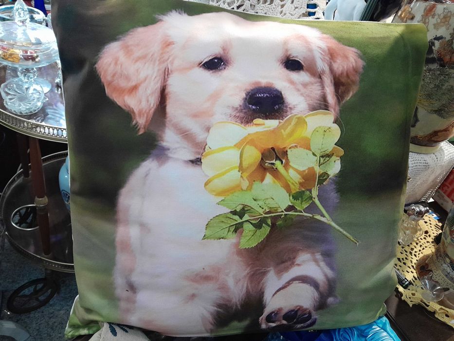 Conjunto de Almofadas decorativas - Faço sua oferta