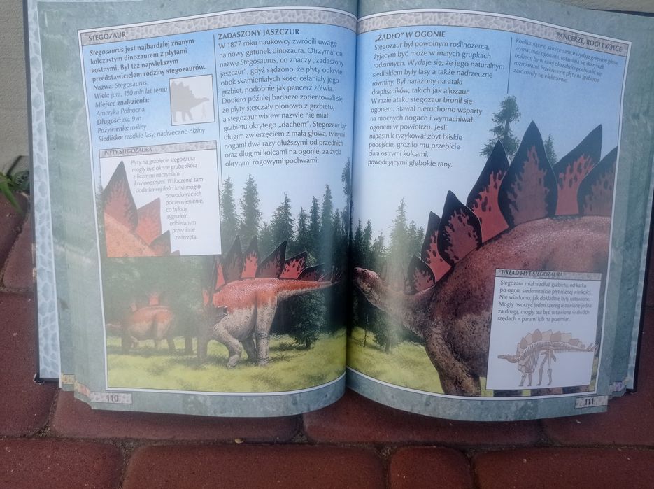 Sprzedam encyklopedie o dinozaurach