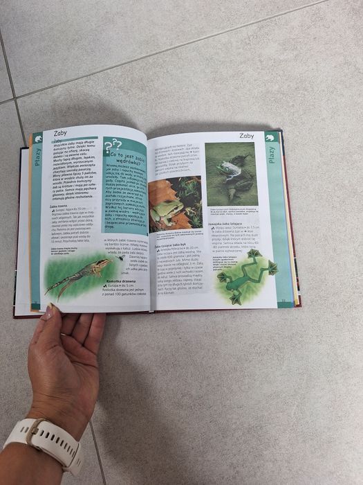 Zwierzęta Świata czesc 2