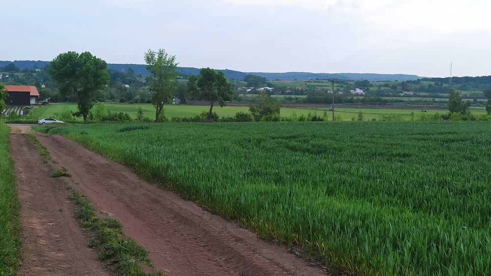 Ділянка 4 Га під котеджне містечко