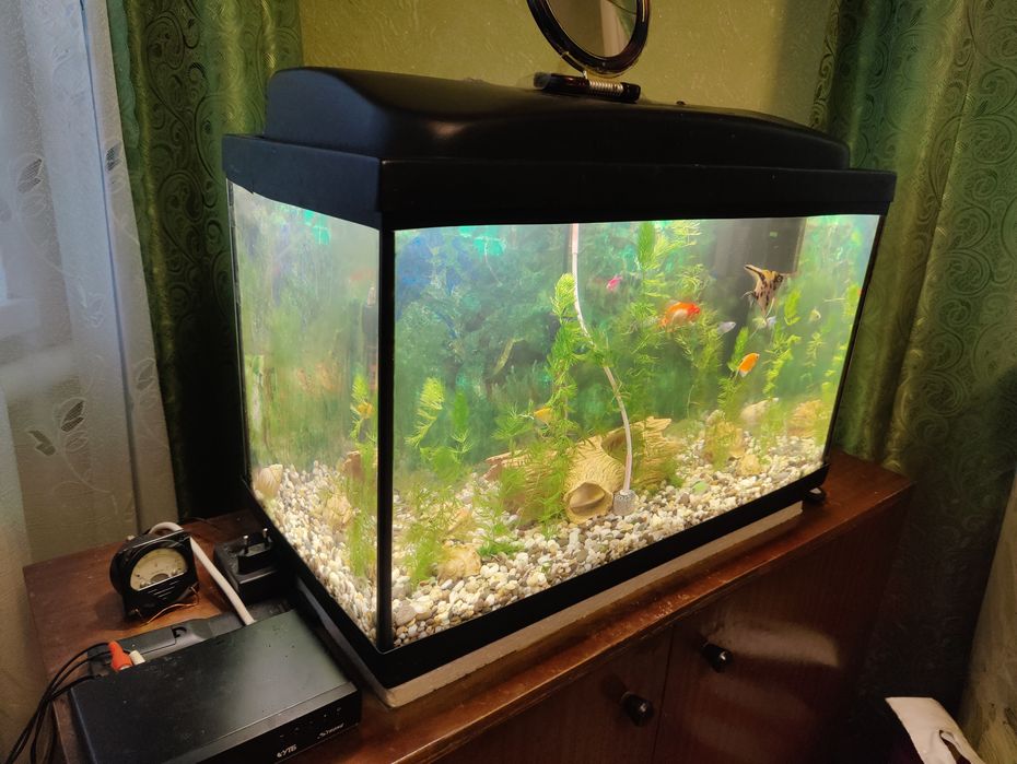 Обміняю акваріум на меньший