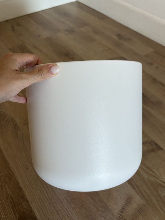 Vaso branco planta