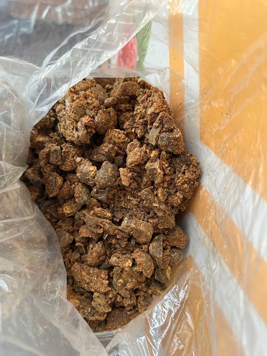 Propolis, kit pszczeli świeży, tegoroczny, 1 klasa czystości - HURT