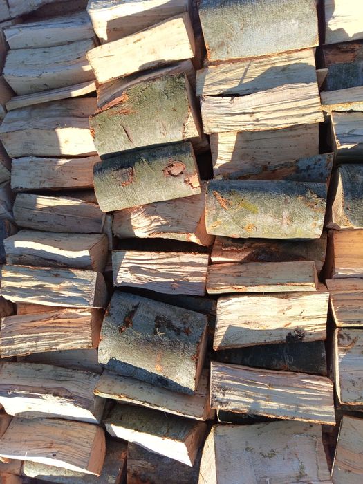 Buk. Drewno kominkowe. Opał. Możliwość transportu.