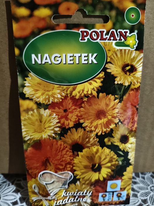 Nagietek mix kolorów nasiona