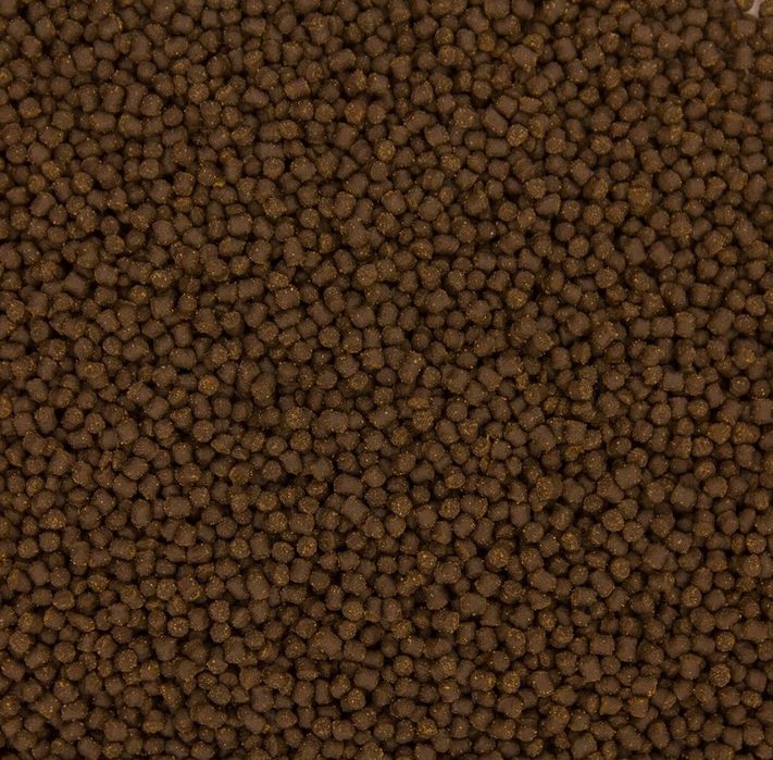 glopex koi premium karma dla ryb 100g granulat 3mm