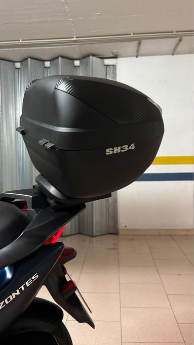 ZONTES 310M  /  2022
