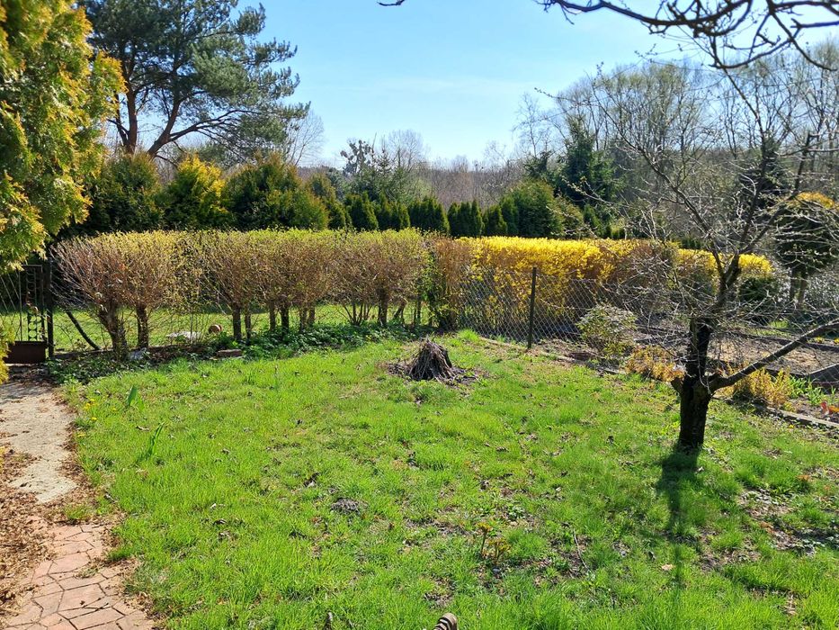 ROD Energetyk działka rekreacyjna