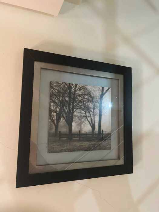 Quadros Decorativos
