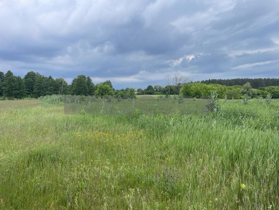 Продаж без комісії,15 соток під забудову!! с. Малий Карашин