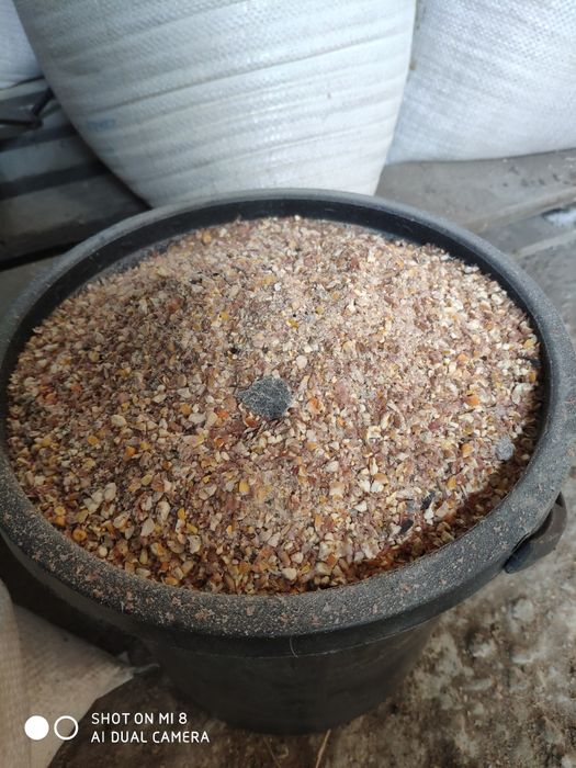 Продам корм для птиці, курей