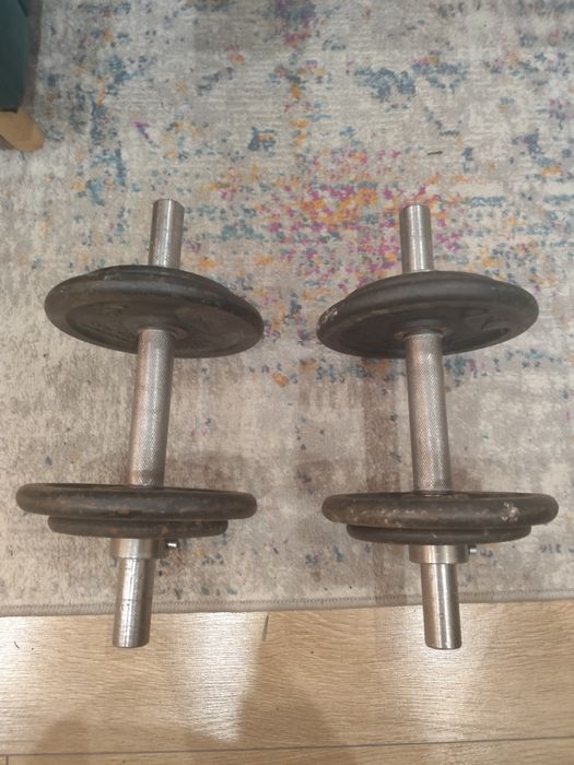 Hantle 12 kg,2 sztuki