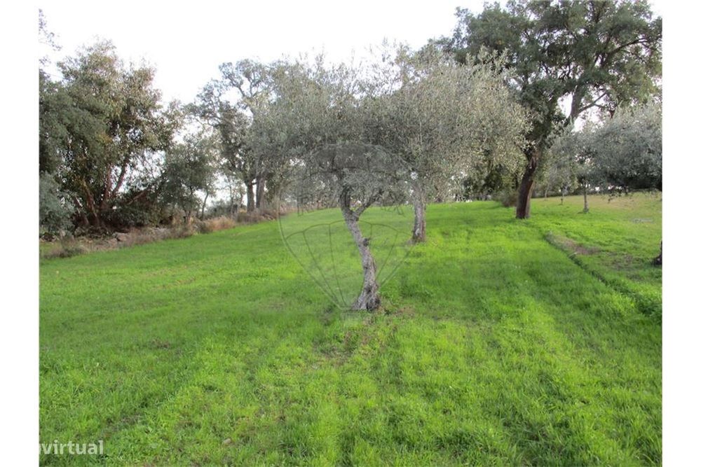 T0 Quinta for Sale