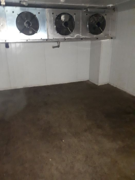 Аренда Холодильных морозильных камер