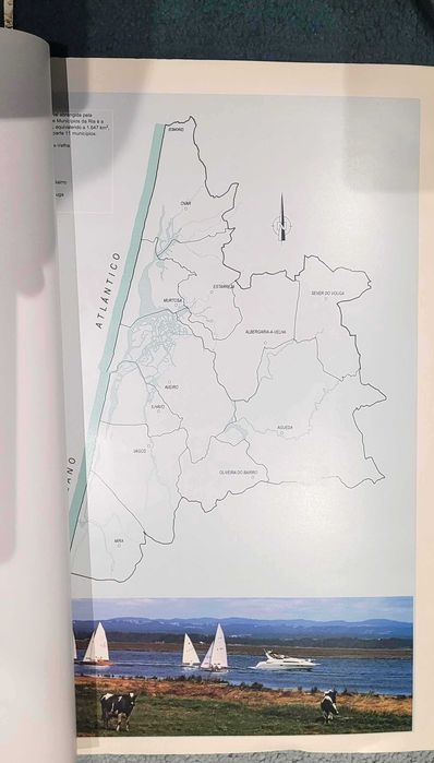 Ria viva : Ria de Aveiro