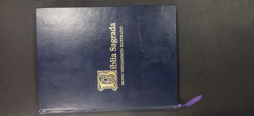 Bíblia sagrada, novo testamento.