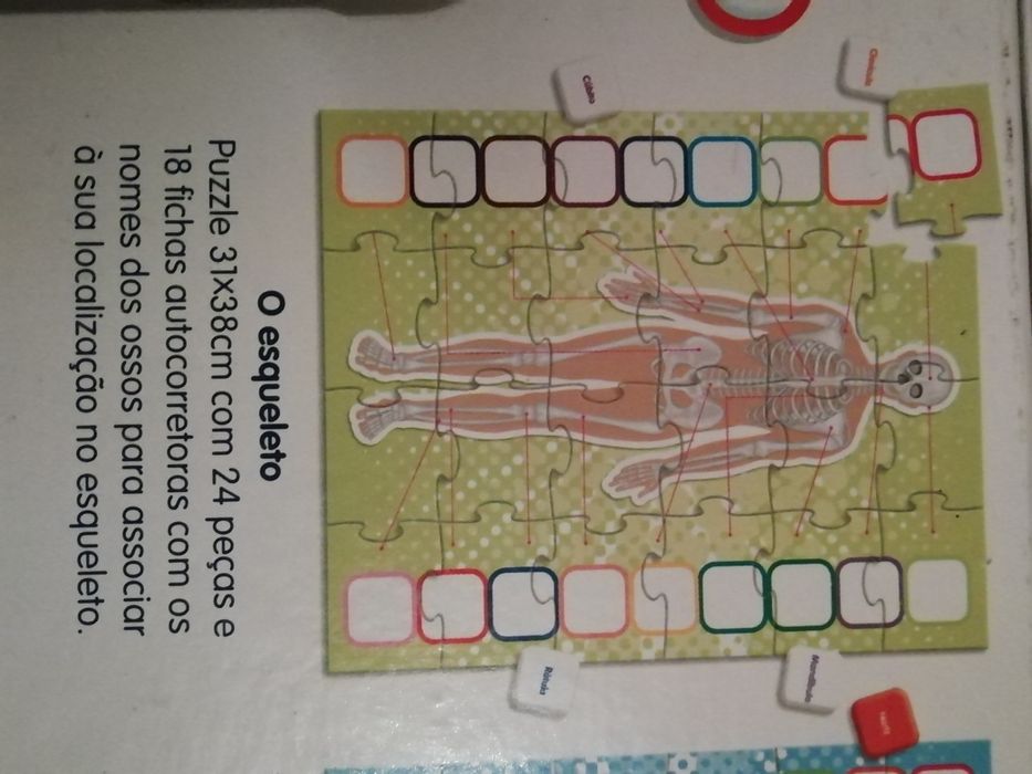 Jogos educativos Clementoni