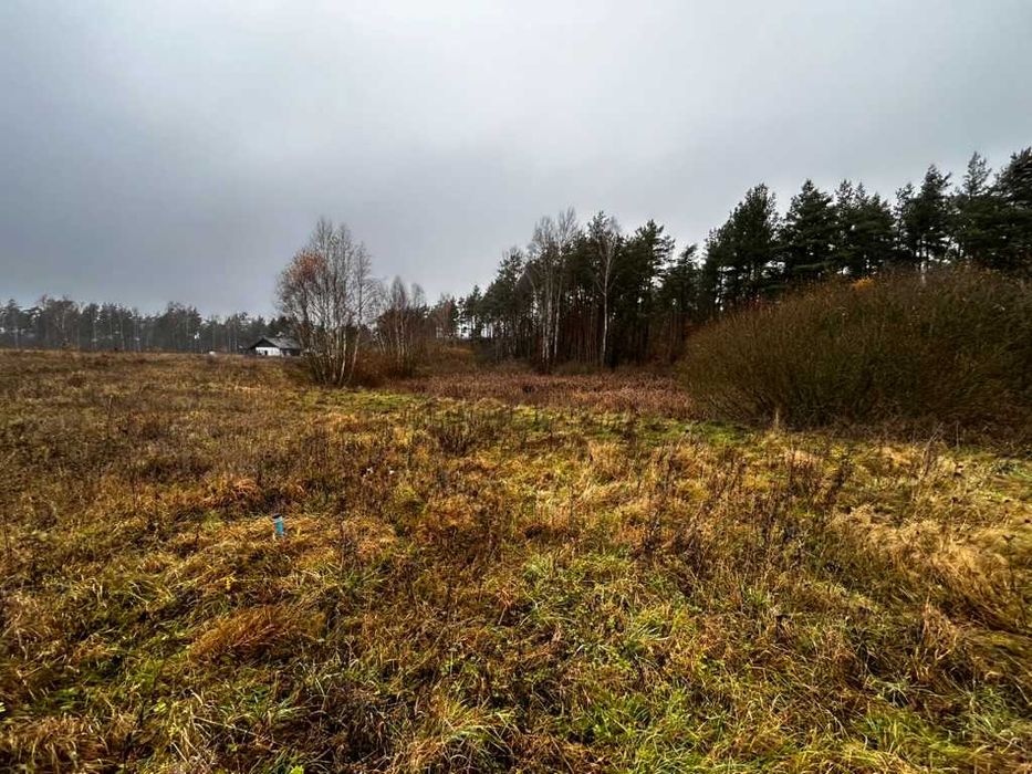 Działka 3000 m² z linią brzegową stawu, przy lesie | Szczodrowo