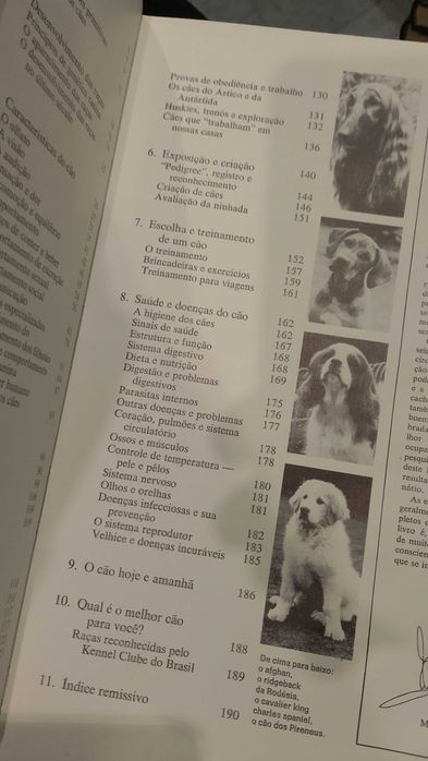 Tudo sobre Cães Grande Enciclopédia Ilustrada - Michael Geary