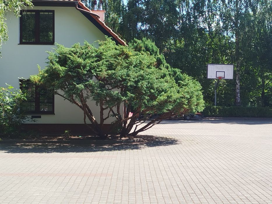 Pielęgnacja ogrodu