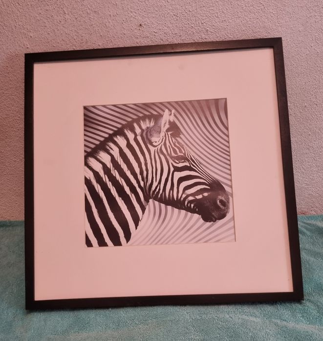 Quadro preto e branco Zebra