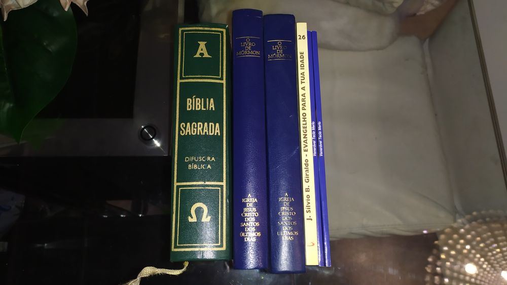 Livros religiosos : bíblia sagrada de 1988 , 2 livro de mórmon etc..