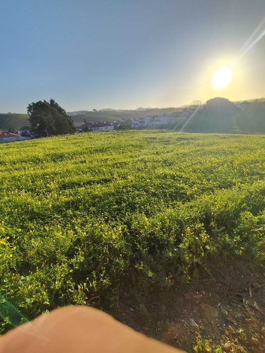 Terreno urbano para construção torres vedras