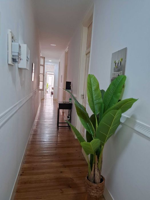Quarto nas Avenidas novas - Entrada a 1 Agosto