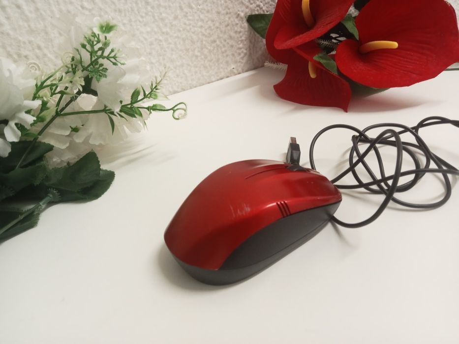 Mouse (semi novo)
