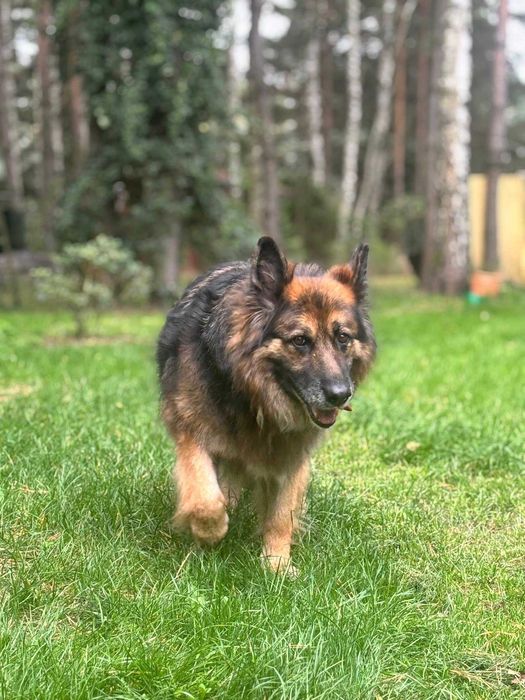 Sally szuka swojego człowieka na zawsze!