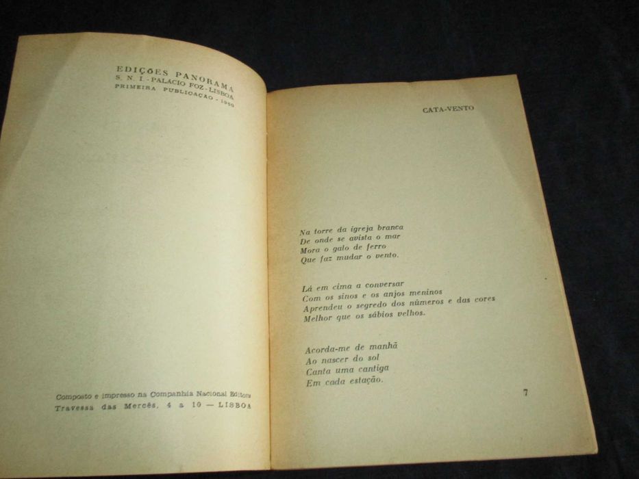 Livro Os Meninos e as Quatro Estações Tarcísio Trindade